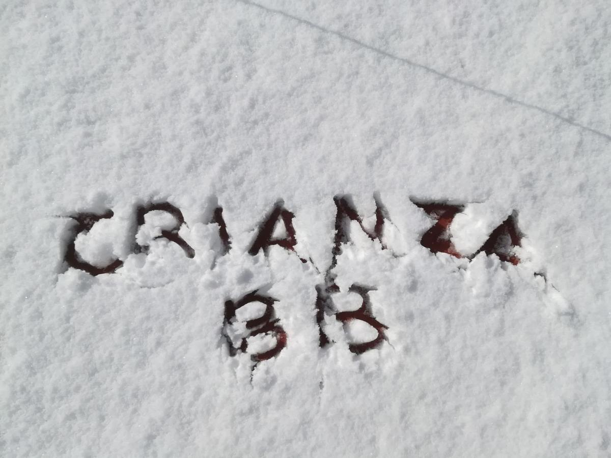 Crianza B&B Neapel Exterior foto